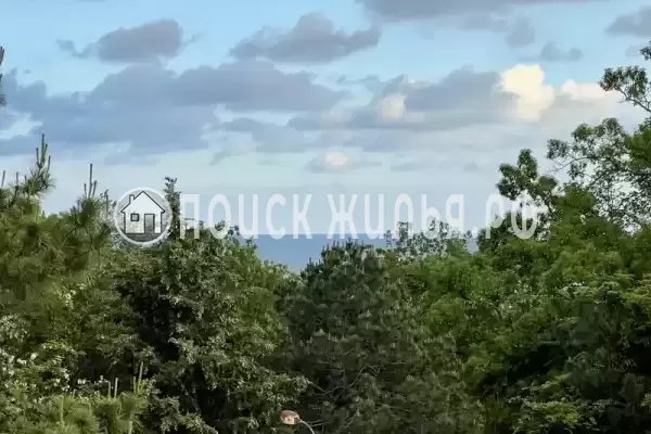 «На Мира 42» «На Мира 42»