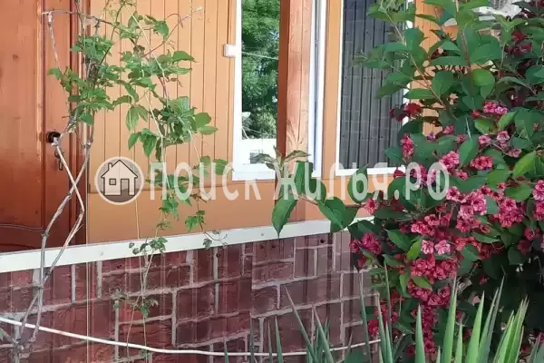 «На Морской»