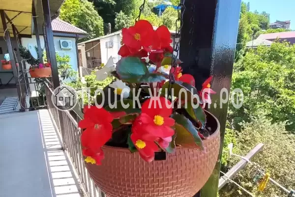 Гостевой дом «Стелла»