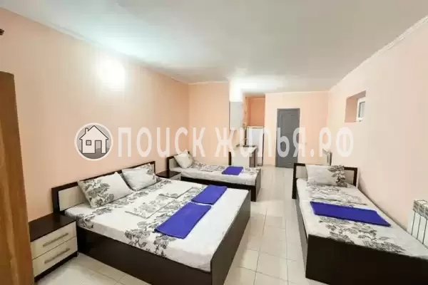 «Владимирский» «Владимирский»