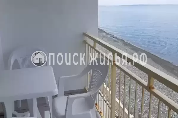 «Место под солнцем» «Место под солнцем»