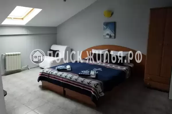 «Место под солнцем» «Место под солнцем»