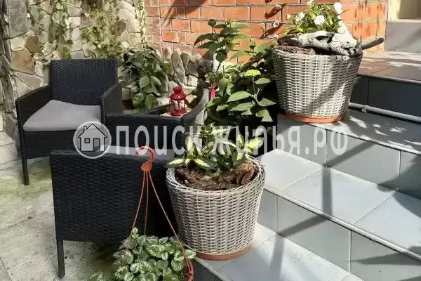 «Зеленый мир»