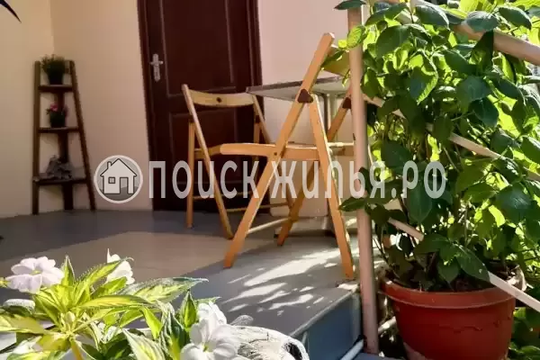 «Зеленый мир»