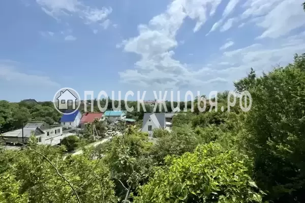 «Лес» «Лес»