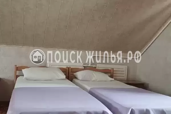 «Горная лаванда»