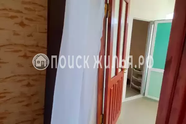 «Горная лаванда»