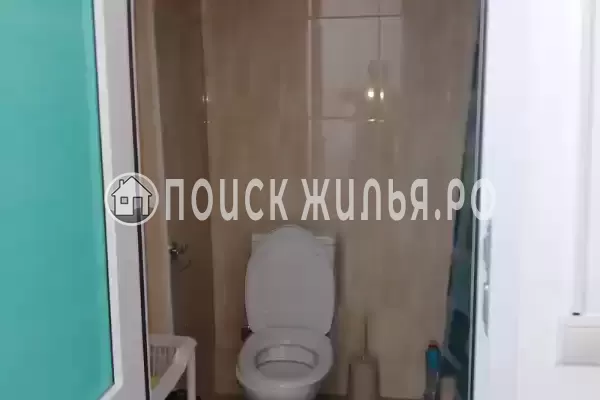 «Горная лаванда»