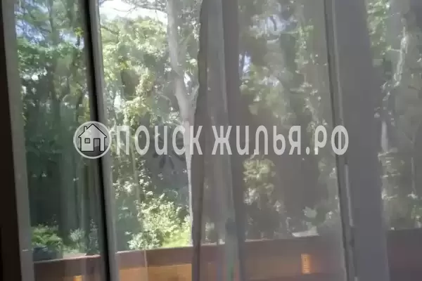 «Лес» «Лес»