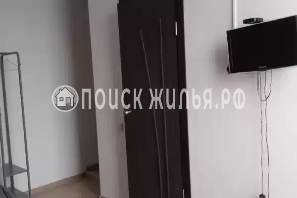 «Лес» «Лес»