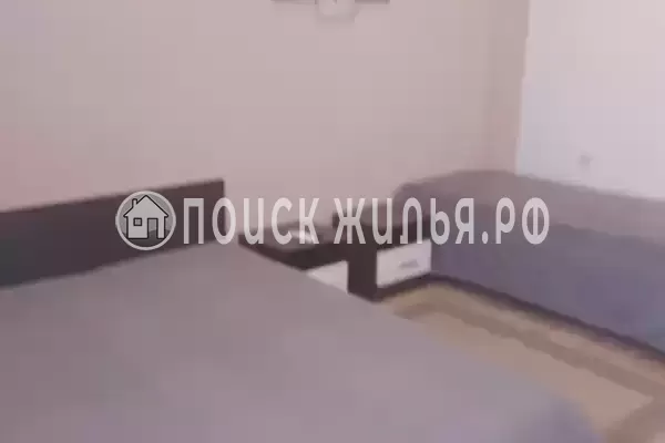 «Лес» «Лес»