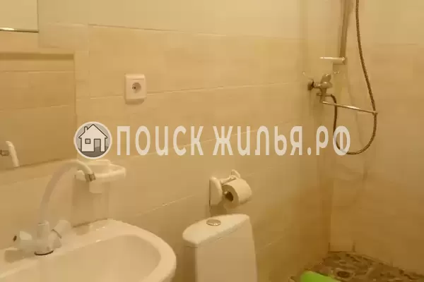 «Лес» «Лес»