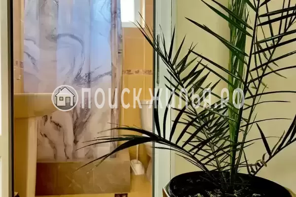 «Адель» «Адель»