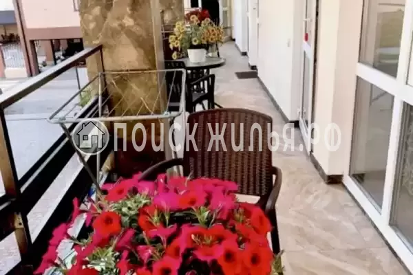 «Адель» «Адель»