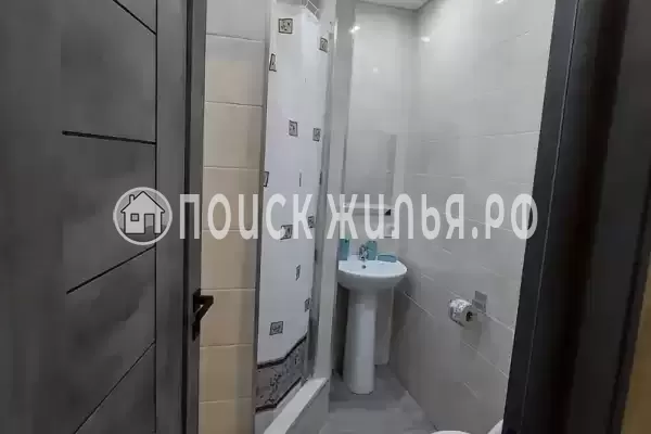 «Два дельфина» «Два дельфина»