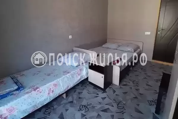 «Два дельфина» «Два дельфина»