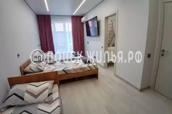 «Два дельфина» «Два дельфина»