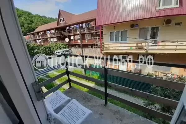 «Два дельфина» «Два дельфина»