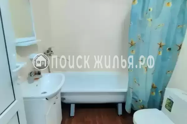 «Два дельфина» «Два дельфина»