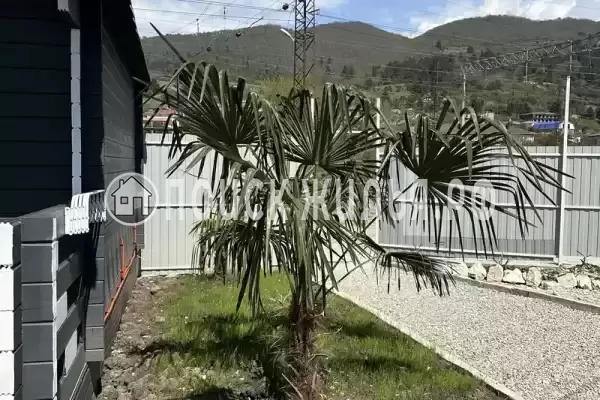 Гостевой дом «Оазис» Гостевой дом «Оазис»