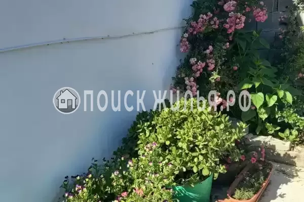 Гостевой дом «Давид»