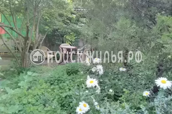 «Тихая гавань» «Тихая гавань»