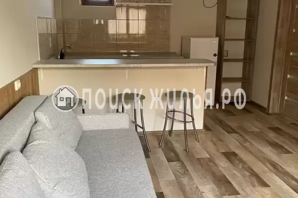 «Бамбук» «Бамбук»