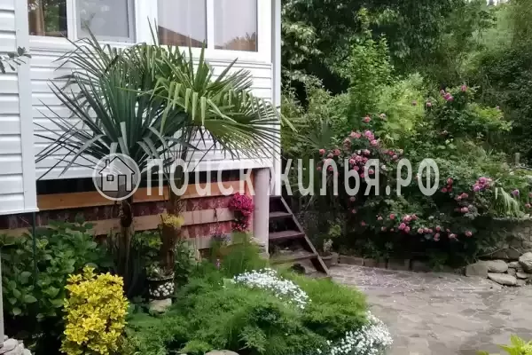 «Вероника»