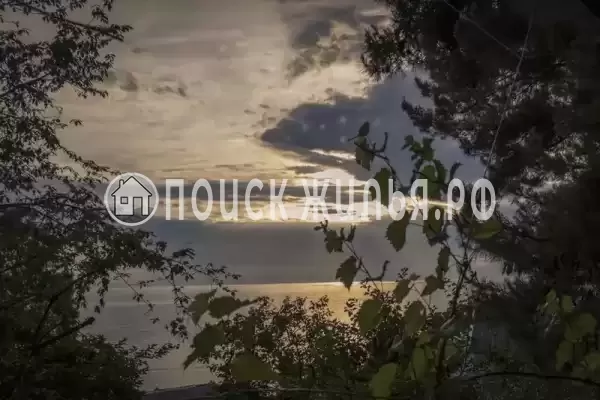 «Сосновый бор»