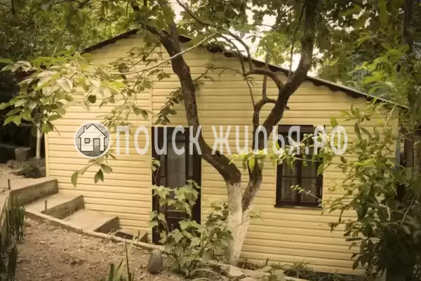 «Сосновый бор»