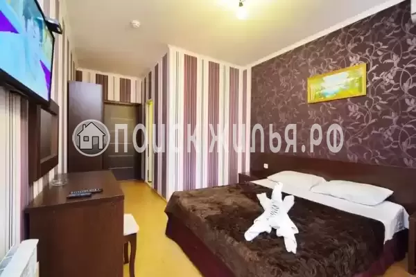 Гостиница «Ниагара» Гостиница «Ниагара»