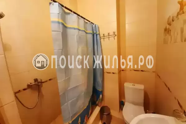 Гостевой дом «Южный кипарис» Гостевой дом «Южный кипарис»