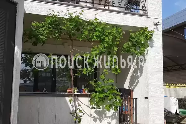 Гостевой дом «Южный кипарис» Гостевой дом «Южный кипарис»