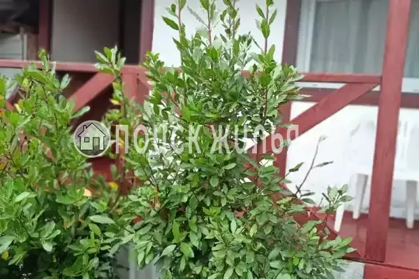 Частный сектор, Магистральная, д.22А Частный сектор, Магистральная, д.22А