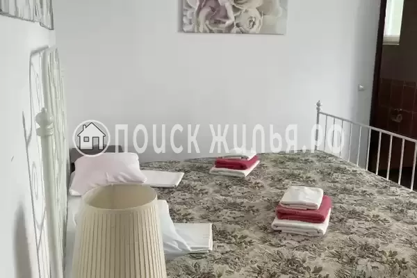 «Горная орхидея»