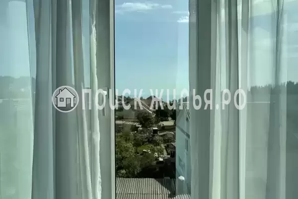 «Горная орхидея»