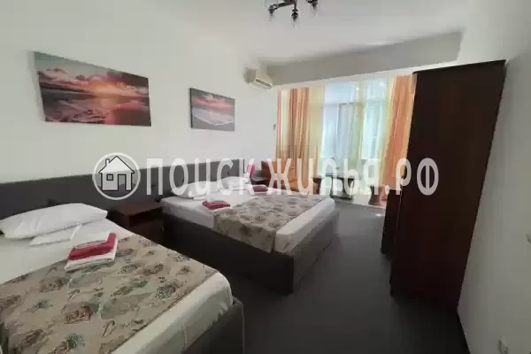 «Горная орхидея»