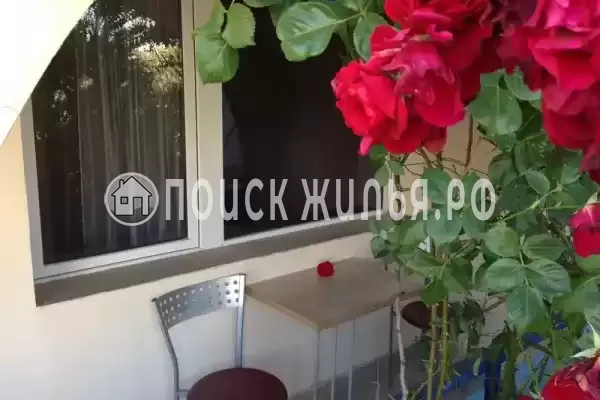 «Casablanca» «Casablanca»