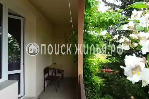 «Casablanca» «Casablanca»