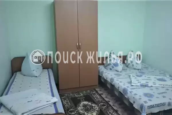 «Орхидея» «Орхидея»