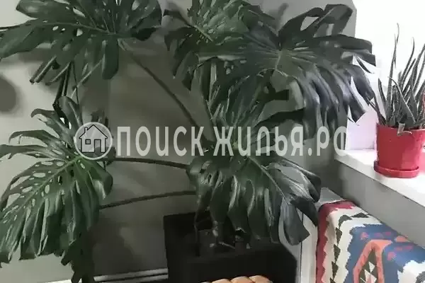 «На Пограничников» «На Пограничников»