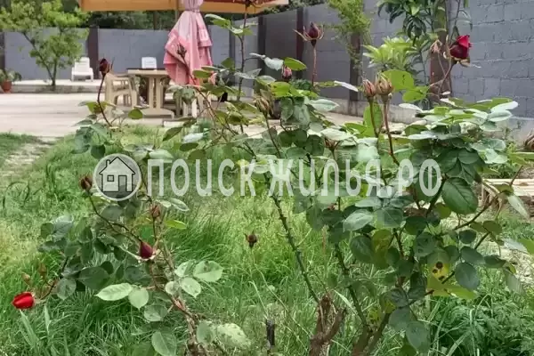 Гостевой дом, Пушкина, д.31 Гостевой дом, Пушкина, д.31