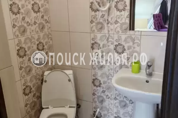 «Виноград»