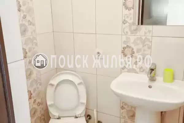 «Виноград»