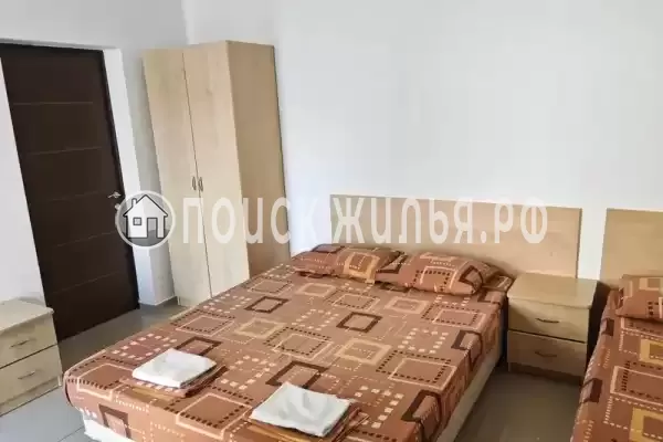 «Виноград»