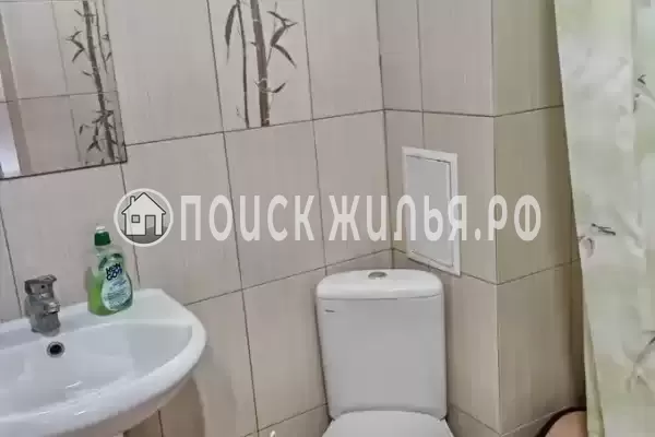 «Виноград»