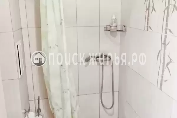 «Виноград»
