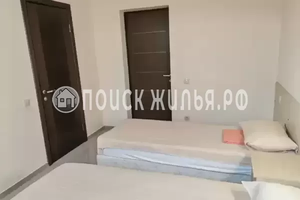 «Виноград»