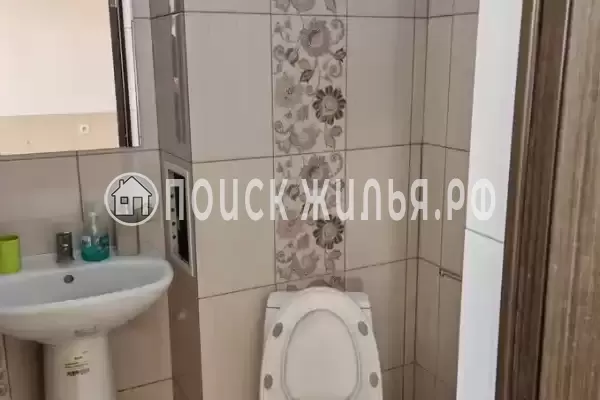 «Виноград»