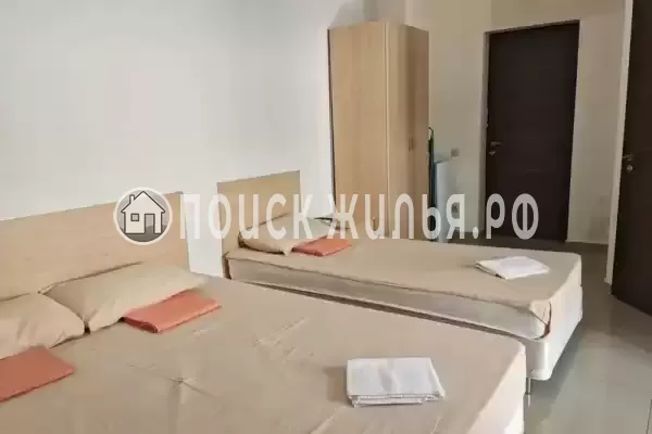 «Виноград»